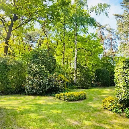 Bosvakantie Veluwe - 54, Hoefbos, Дом отдыха Оттерло