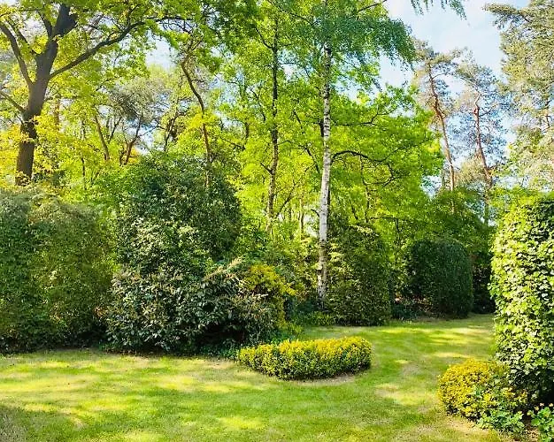 Bosvakantie Veluwe - 54, Hoefbos, Semesterbostad Otterlo